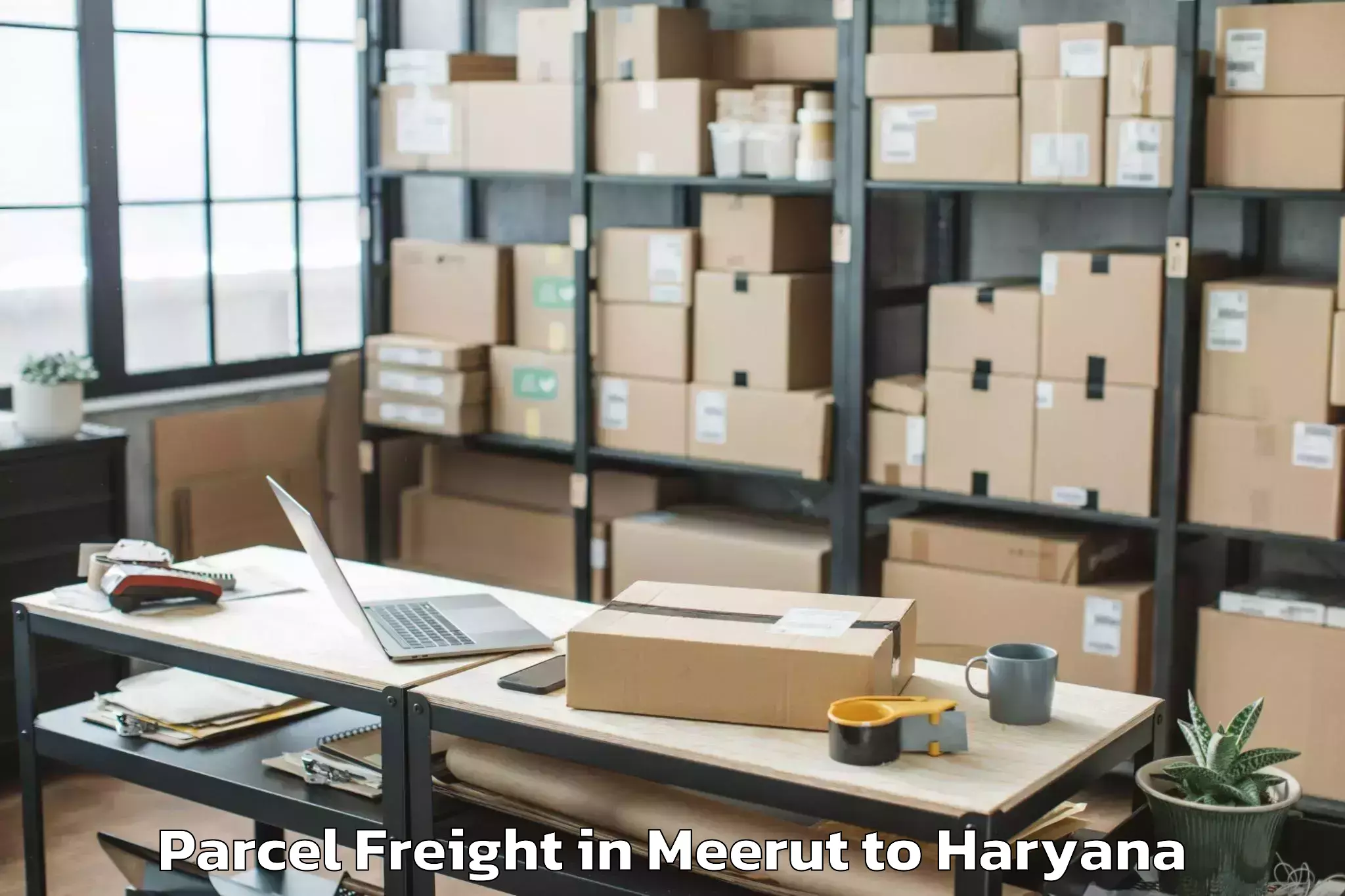 Easy Meerut to Hathin Parcel Freight Booking